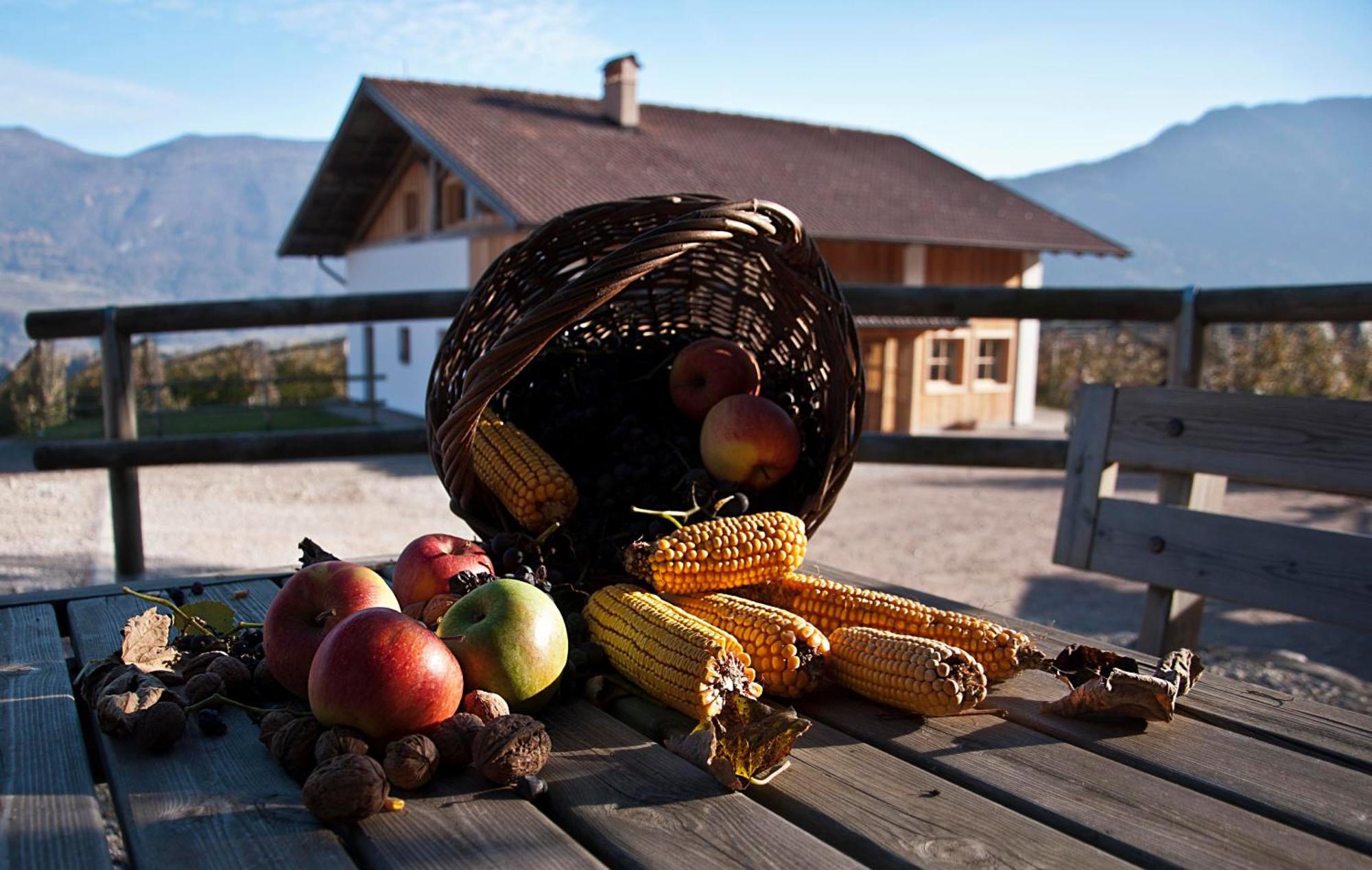 Agritur Maso Pra' Cavai B&B Balbido-rango Exteriér fotografie