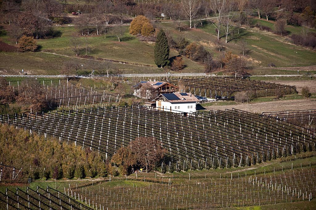 Agritur Maso Pra' Cavai B&B Balbido-rango Exteriér fotografie